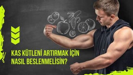 Kalori ve Protein Dengesi: Kas Kütlesini Koruma Stratejileri